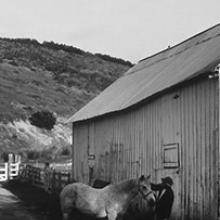Horse Barn at Dusk, Murphy Ranch, Point Reyes, California  2006 Art Rogers (b. 1948) gelatin-silver print Courtesy of the artist L2014.2101.003