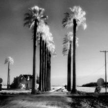 Hopper’s House  2009