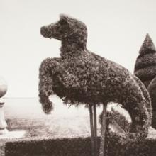 Hope Kahn: Geometry In Nature