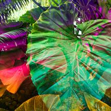 Heterotopia No.70  2017