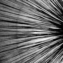 Marilynne Morshead: Pattern Alchemy