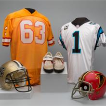 The Nation's Game: The NFL from the Pro Football Hall of Fame