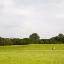 Oderbruchkippe, Berlin 2008