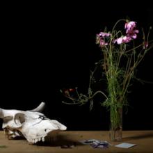 Still Life with Photographs and Skull  2009