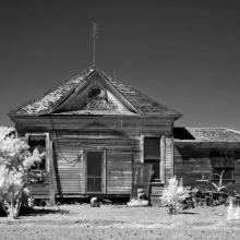 Lost in America  2014