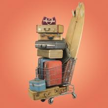 Cart #8, Luggage  2014