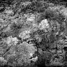 Lava Landscape, Southern Oregon