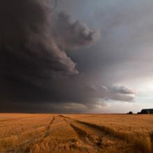 The Collapse II, South Dakota