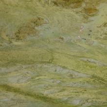 No Safe Landing: Pink roseate spoonbills flying over fertilizer production, Bartow, Florida