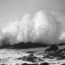 Pescadero, California
