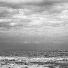 Gerald, Monterey, California  2011  