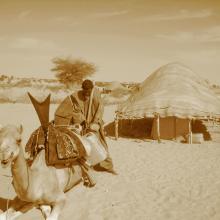 Packing the Camel, near Timbuktu, Republic of Mali