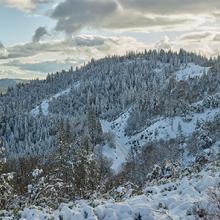 Sierra View, Alta, California  2019