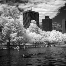 Rockwell’s Summer  2009