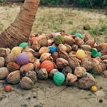 Cocos (Coconuts)  2011  by Alejandro Durán (b. 1974)