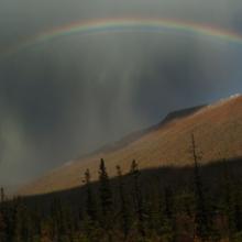 The Beauty of Fall Rains, Brook Range Mountains, Alaska 2011
