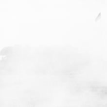 Wonderland (#18-14)  2017