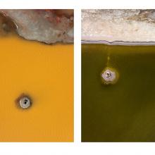 Duck Blinds, Salt Pond E6B, Hayward, California  