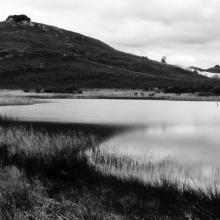 Wetland Pond, Nicasio, Califorina  2006 Art Rogers (b. 1948) gelatin-silver print Courtesy of the artist L2014.2101.006