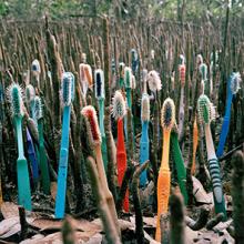 Brotes (Shoots)  2014 by Alejandro Durán (b. 1974)