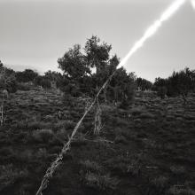 Juniper Moonrise, Tonto National Forest, Arizona  2013