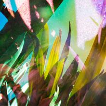 Heterotopia No.56  2015