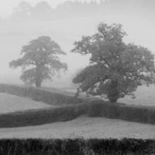 Triangular Enclosure