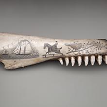 Scrimshaw