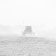 Wonderland (#19-08)  2017