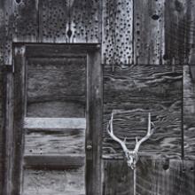 Farm Shed, near Hopland, California 2012