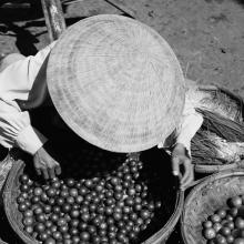 Woman with Limes, Can Tho, Vietnam