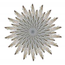 Chrysanthemum ichneumon  2014