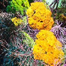 Heterotopia No.59  2015