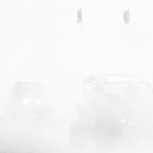 Wonderland (#65-15)  2017