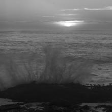 Point Lobos, Monterey County, California