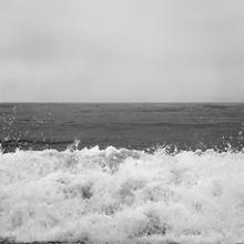 Jackson, Laguna Beach, California  2012 