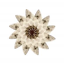 Sempervivum animals  2014