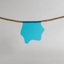 Marine Algae  2014  Lindsey White (b. 1980)  digital print  Courtesy of the artist  R2014.1901.008