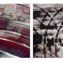 Harvest Marks, Cargill Salt Plant, Newark, California  2010