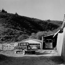 Ranch Dog at Sunrise, Murphy Ranch, Point Reyes, California  2008 Art Rogers (b. 1948) gelatin-silver print Courtesy of the artist L2014.2101.008