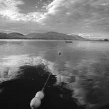 Walking on Water  2016