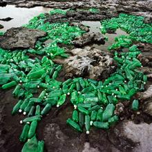 Algas (Algae)  2013 by Alejandro Durán (b. 1974)