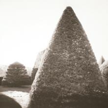 Hope Kahn: Geometry In Nature