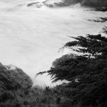 Reaching for the Sea, Sea Ranch, California  2010