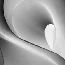 Marilynne Morshead: Pattern Alchemy