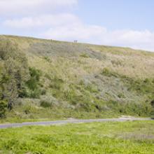 Humboldthöhe, Berlin 2009