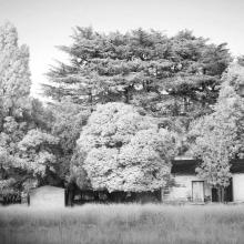 The Hidden Ranch  2015