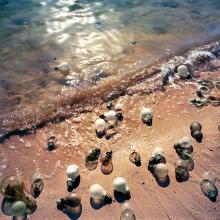 Bombillas (Bulbs)  2013 by Alejandro Durán (b. 1974)