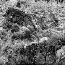Crack in the Ground, Southern Oregon