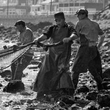 Fishermen, Herring Run, Sausalito